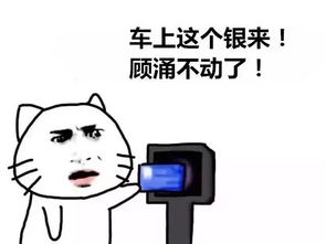 天这么ye,给你一套山东人专用表情包消暑