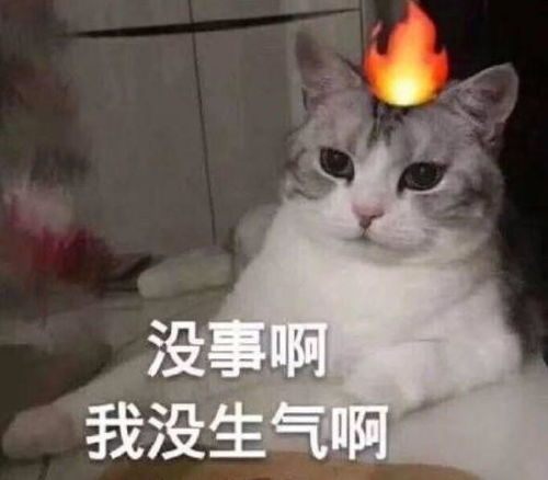 喜欢的表情包可爱风味人间