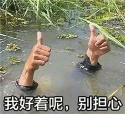 今日份沙雕表情包毁灭吧,我累了