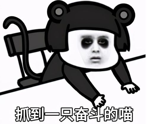 抱大腿图片表情包阿里嘎多