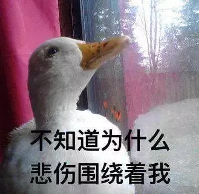12个冷门趣知识,源于生活又高于生活,愉悦生活又服务生活
