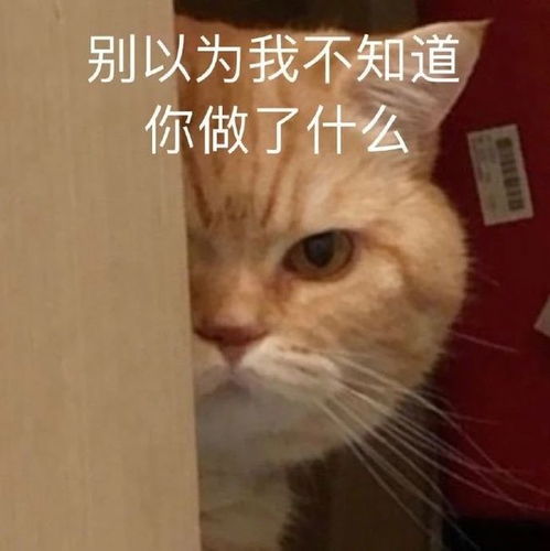 宝,表情包还够吗