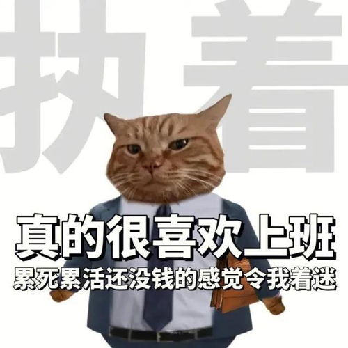 捣蛋猫打工表情包