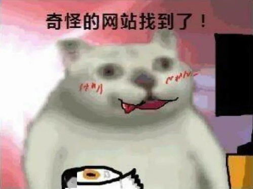 原来你是这种女生从手机app就暴露啦