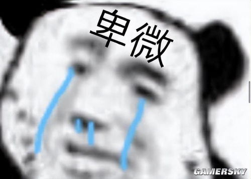 打出此牌证明你还活着表情包七分钟
