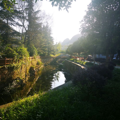 贵州黄花寨贵州长顺高清风景壁纸1080p无水印