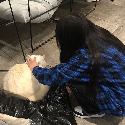 头像丨该来的总会来的