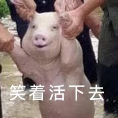 不让孩子玩抖音,是在报当年不让你看金庸的仇吗