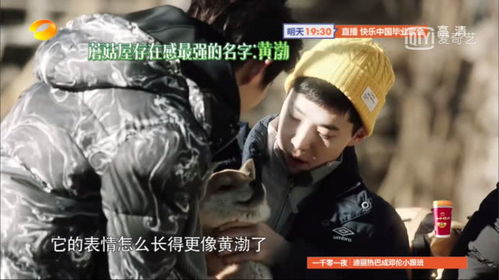 表情极限男人帮做客向往的生活,张艺兴罗志祥轮流点菜听懵彭昱畅表情