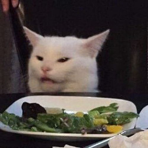 猫咪看到青菜,露出超嫌弃表情这搞笑表情快被网友玩坏了