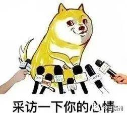 汪族荣耀警犬刀锋和她的同事们