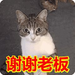 紧急提醒南宁人出门赏月务必留意这些地方,要不后果很严重