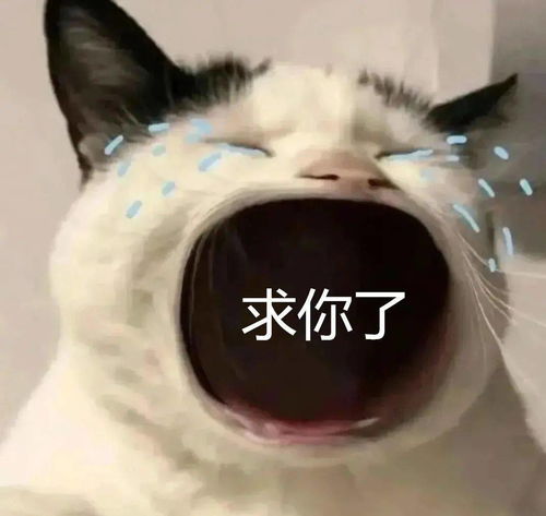 如果有时间看一看我吧