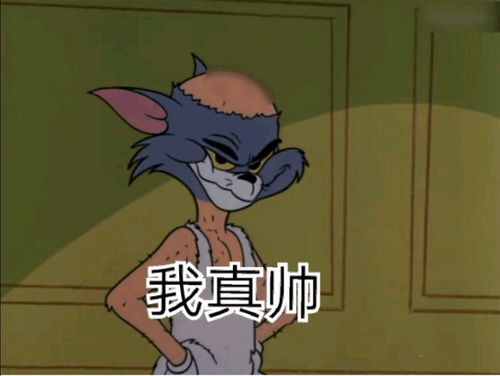 当猫和老鼠看到自己的表情包时二十一
