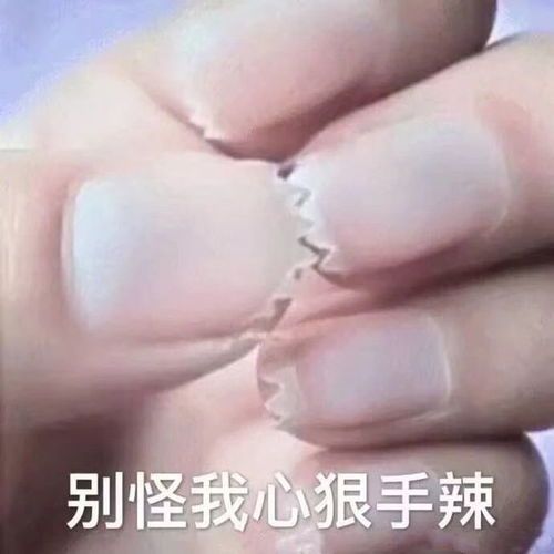 最新表情包