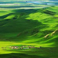 绿色草原微信头像唯美微信头像图片大全