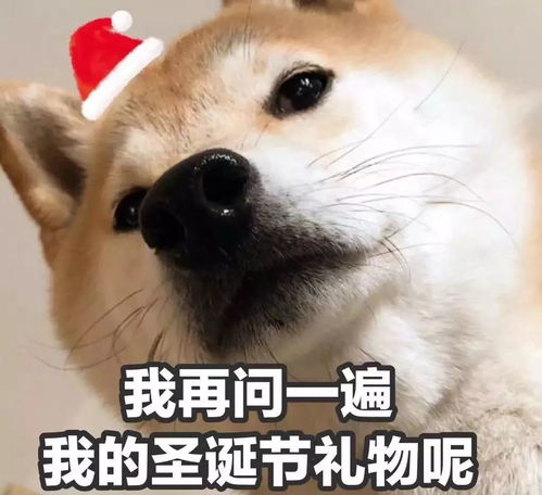 ins发布2018年度总结,原来网上冲浪流行这些骚操作晚抱