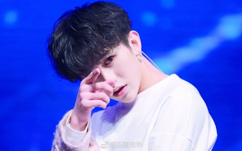 汪海林开怼蔡徐坤迪丽热巴网友蔡徐坤是歌手,不是演员