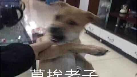 老乡见老乡,两眼泪汪汪七日杀双人实况第一期