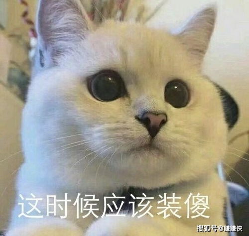 热门表情包图片管你开心还是不开心我默默吃瓜