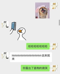 表情包写文