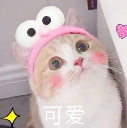 定了明天起,全珠海免费
