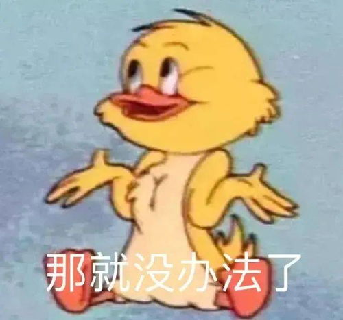 我才是熬夜冠军