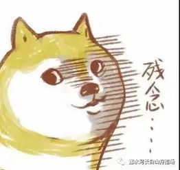 长白山之夏这个暑期不寂寞凭学生证专享优惠狂欢