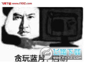 贪玩蓝月渣渣辉表情包下载飞翔下载
