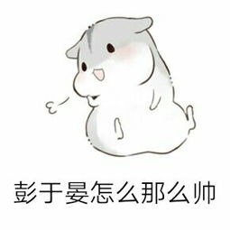 彭于晏仓鼠表情包无水印版