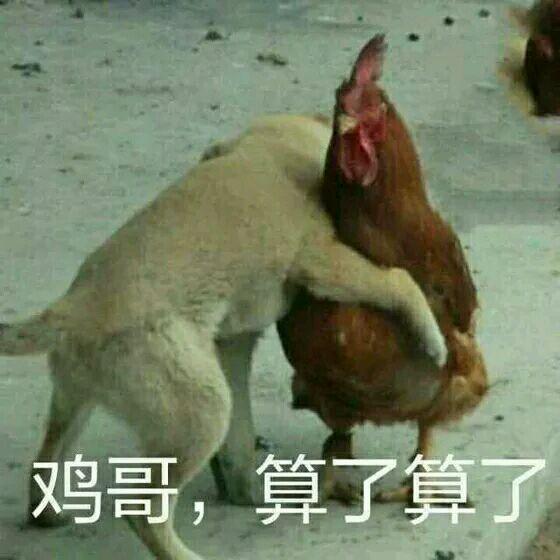 快手上很火的表情包鸡年