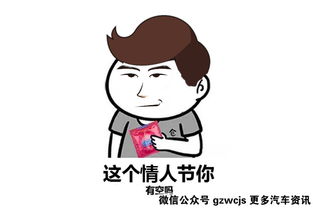 蚊子的图片表情包单身汪