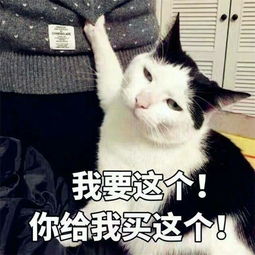 可爱卖萌搞笑表情包