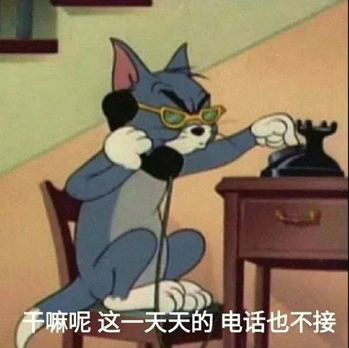 9.29表情包干嘛呢这一天天的电话也不接