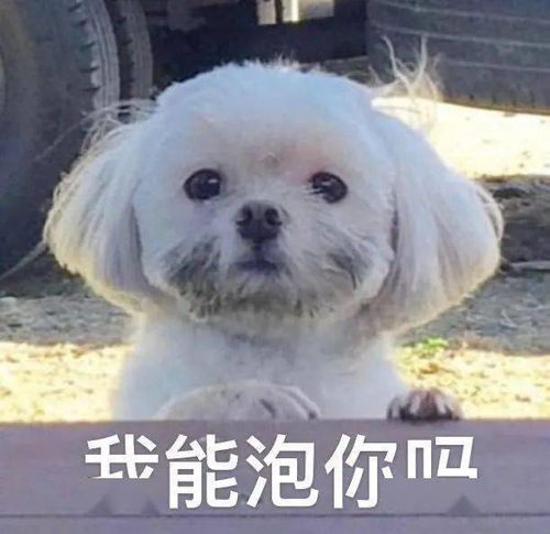 为什么ta要和我结婚,又要去找第三者