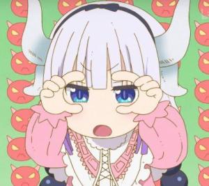 康娜卡姆依