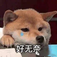似懂非懂表情包单身汪