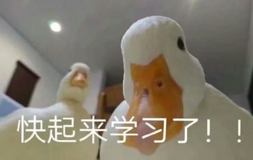 九年义务教育,让家长叫苦连天,一天的工资还不够补课的费用