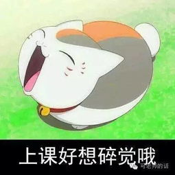 普通老师的一天是什么样