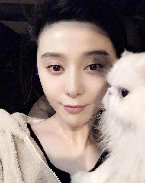 李晨变身猫奴花式秀猫,却遭网友们催婚催生