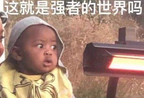 人间便利店这本书怎样