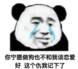 熊猫调侃怼人表情你们这么能聊,求求你们原地结婚吧