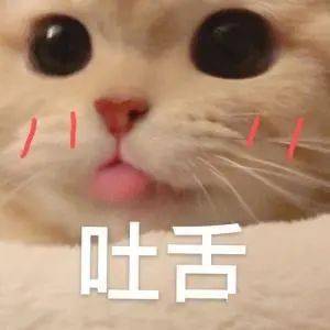 新生报到伯克利的校园美食,这一篇全拿捏了