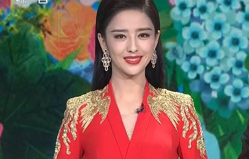 春晚带货能力强张若昀沙溢撞衫老年装,佟丽娅耳环28万