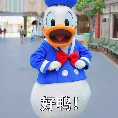 准备当老师的注意啦下半年中小学教师资格考试明天开始报名