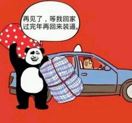 我回来了表情包开车回家