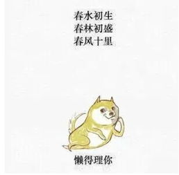 表情包可爱萌卡通动漫gif纯文字污金馆长堆糖,美好生活研究所