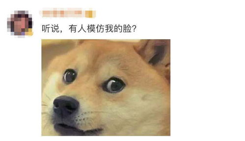 微信终于上新这款表情包,但尴尬的是