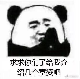 给我介绍个富婆表情包介绍富萝莉图片