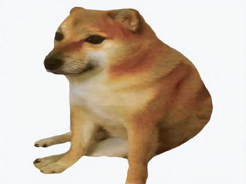 doge表情包微博北登